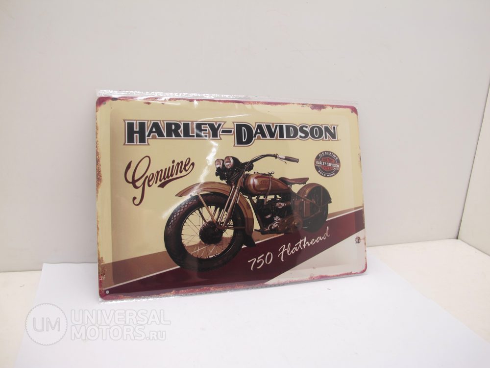 Табличка металлическая винтажная 20*30 Harley Davidson 750 Hathead вариант 32