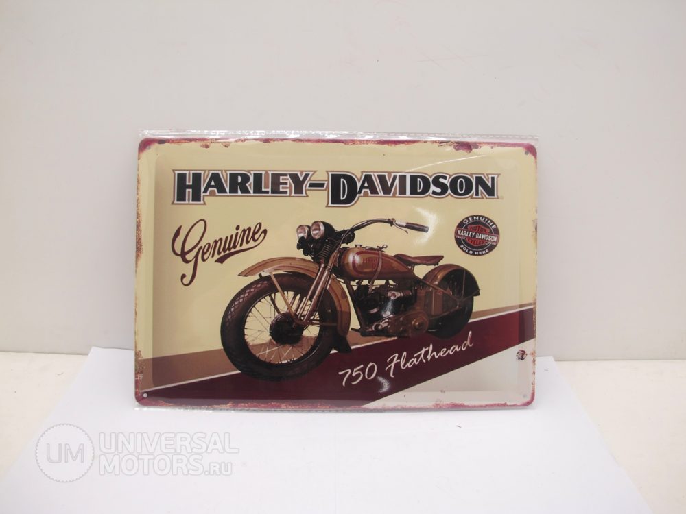 Табличка металлическая винтажная 20*30 Harley Davidson 750 Hathead вариант 32