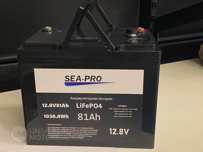 Аккумуляторная батарея SEA-PRO 81А/Ч 12