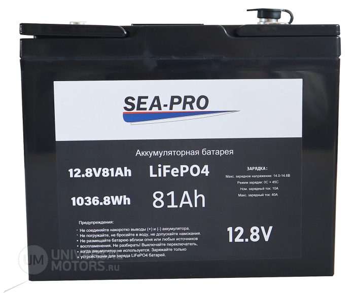 Аккумуляторная батарея SEA-PRO 81А/Ч 12