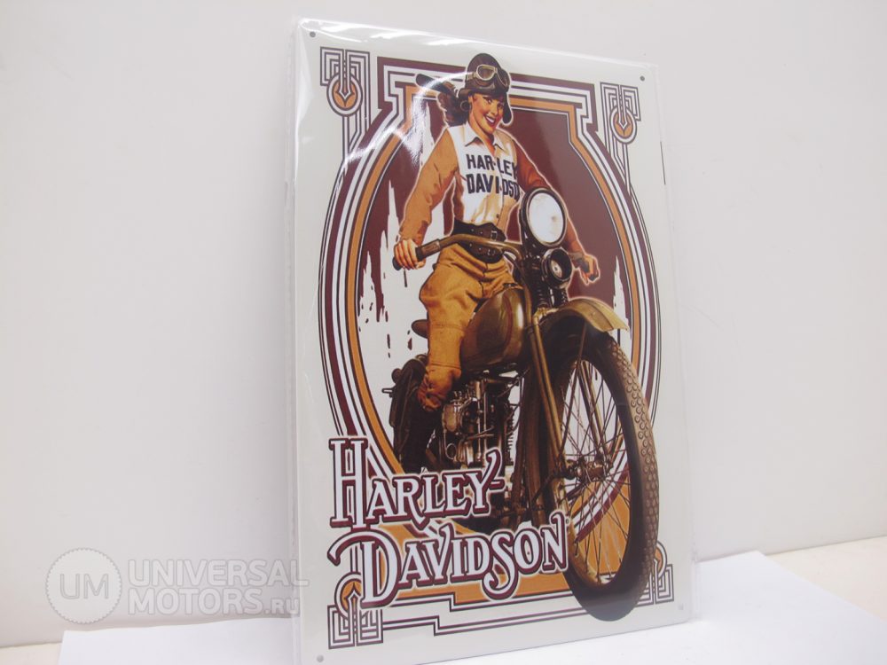 Табличка металлическая винтажная 20*30 Harley Davidson & The Girl Pilot вариант 9