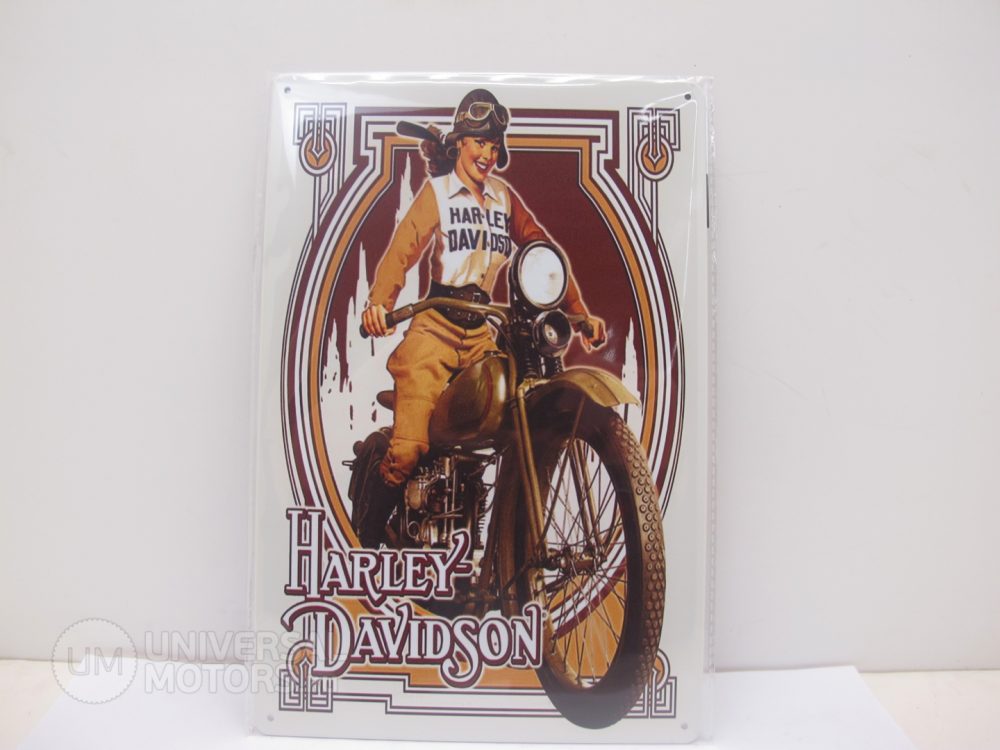 Табличка металлическая винтажная 20*30 Harley Davidson & The Girl Pilot вариант 9