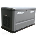 Генератор газовый EVOline GNG 13500 E