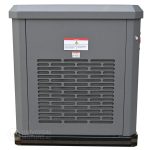 Генератор газовый EVOline GNG 13500 E