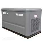 Генератор газовый EVOline GNG 13500 E