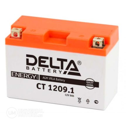 Аккумулятор Delta CT1209.1