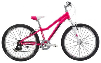 Велосипед Fuji Bikes Dynamite 24 Girl (2014)