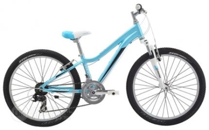 Велосипед Fuji Bikes Dynamite 24 Comp Girl (2014)