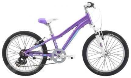 Велосипед Fuji Bikes Dynamite 20 Girl (2014)