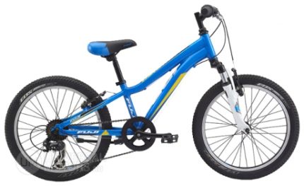 Велосипед Fuji Bikes Dynamite 20 Boy (2014)